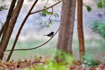 IMG_2176-76