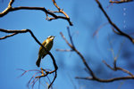 IMG_2499-99
