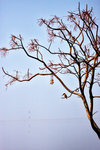 IMG_2563-63
