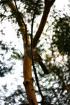 IMG_2901-01