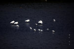 IMG_5502-02