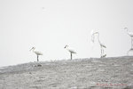 IMG_8483-83