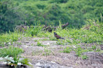 IMG_8773-73