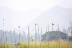 IMG_8781-81