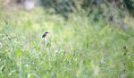 IMG_8789-89