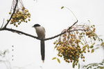 IMG_8808-08