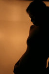 IMG_3083-83