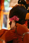 IMG_4977-77