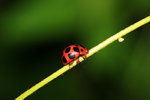 IMG_0522-22