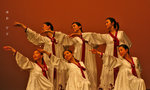 IMG_6646-46