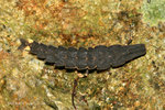 IMG_0541-41