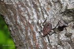 IMG_3087-87