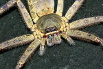 IMG_3557-57