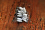 IMG_4457-57