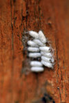 IMG_4459-59