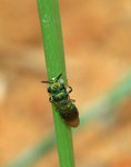 IMG_4825-25