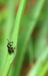 IMG_4826-26