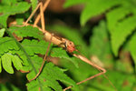 IMG_4886-86