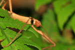IMG_4887-87