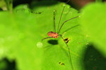 IMG_4947-47