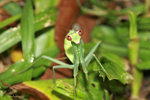 IMG_5011-11