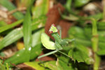 IMG_5013-13
