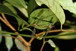 IMG_6107-07