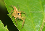 IMG_8998-98