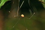 IMG_9062-62