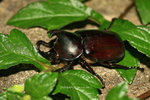 IMG_9284-84