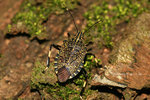 IMG_9296-96