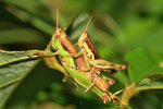 IMG_9301-01