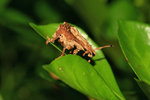 IMG_9355-55