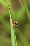 IMG_9506-06
