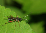 IMG_9535-35