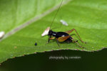 IMG_9704-04