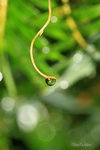 IMG_0798-98