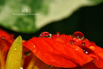 IMG_1069-69