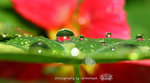 IMG_1076-76