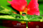 IMG_1079-79