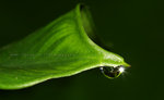 IMG_6128-28