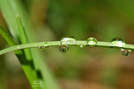 IMG_7541-41