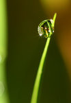 IMG_9474-74