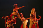 IMG_2026-26
