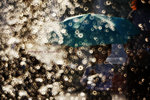 IMG_8747-47