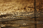 IMG_8758-58