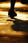 IMG_8806-06