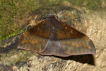 IMG_6182-82