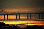 IMG_6081-81