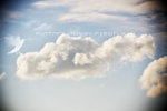 IMG_8675-75
